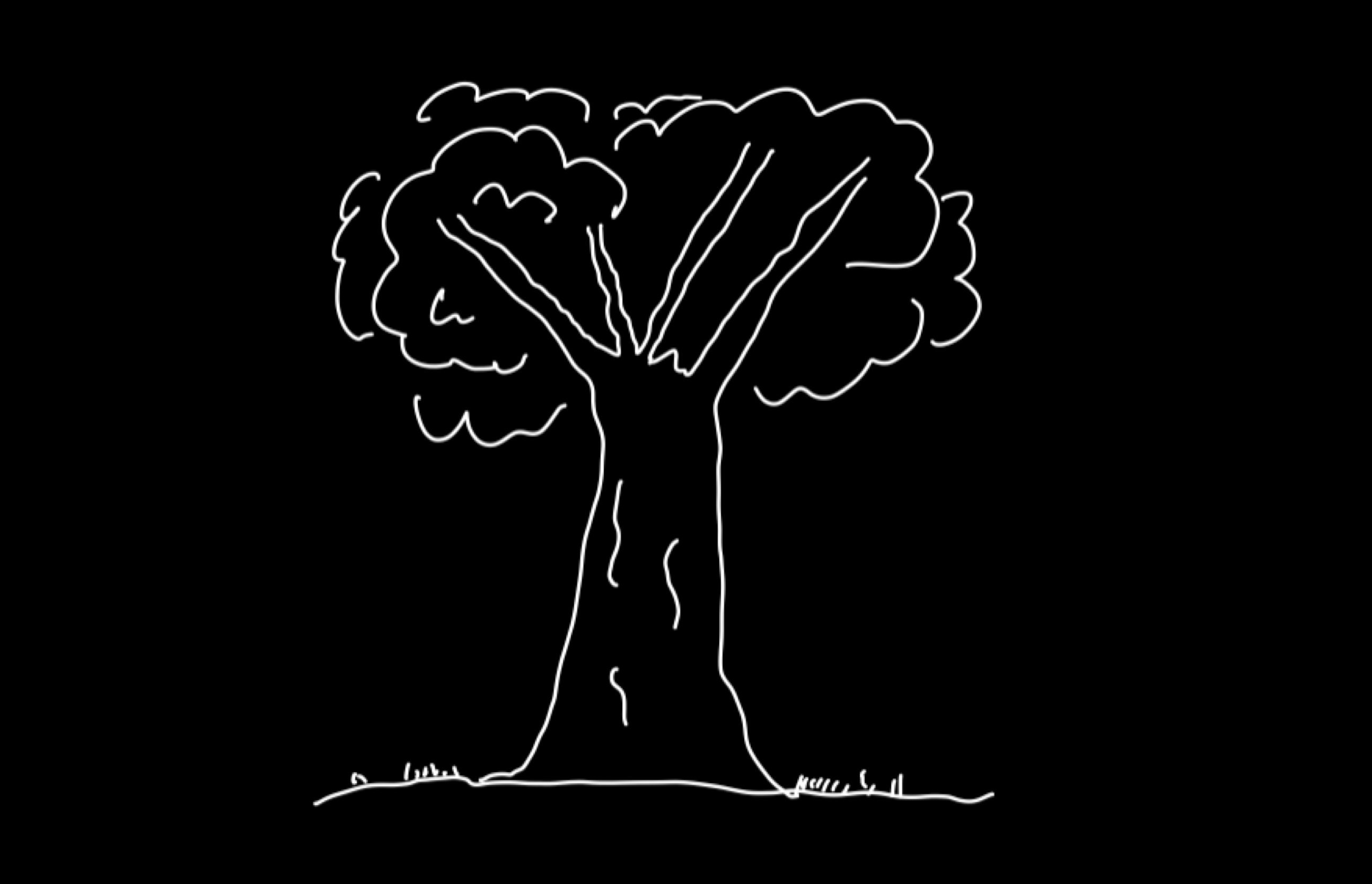 Dibujo de un árbol